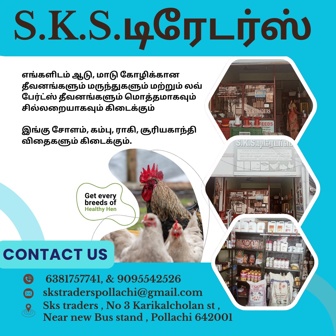 SKS TRADERS Cover